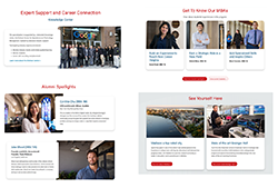 example card and rankings components
